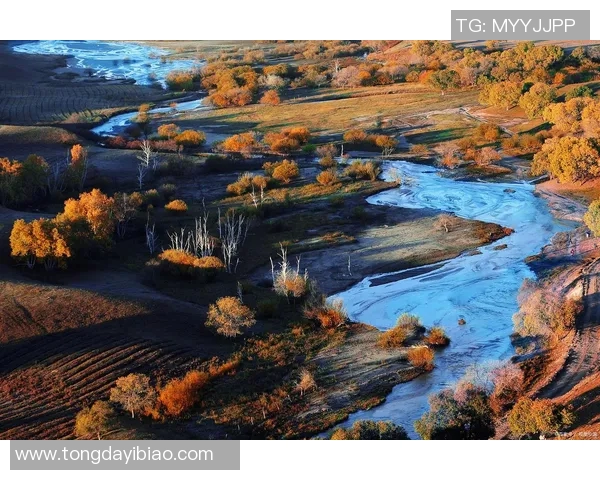 扎莫拉的魅力探秘:历史文化与自然风光的完美交融之旅 扎莫拉的魅力探秘:历史文化与自然风光的完美交融之旅