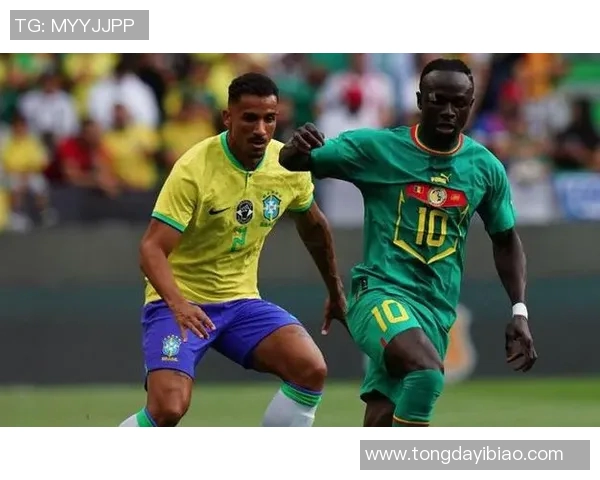 波黑与塞内加尔足球对决深度分析及战术解析