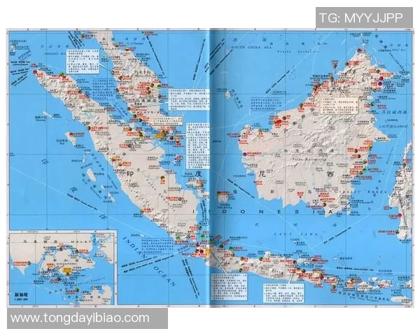 新加坡与文莱篮球直播对决精彩瞬间回顾与分析